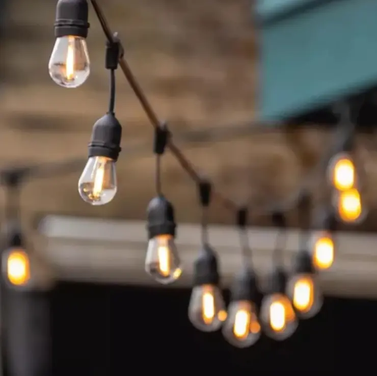 Ghirlandă luminoasă de grădină 10m Bibica Edition cu 10 becuri LED si protecție IP44 pentru exterior [1]