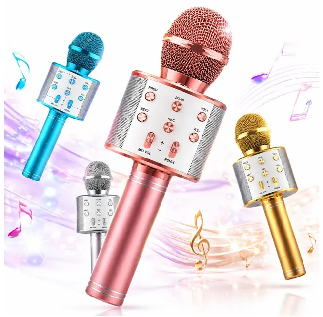 Jocuri & jucării - Microfon Wireless Karaoke 20cm Bibica Edition