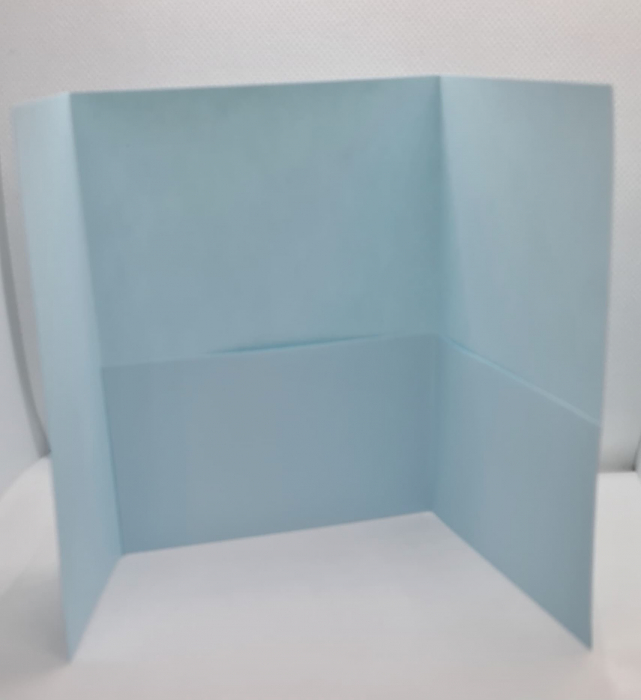 invitatie-premium-nunta--botez-cu-data-razuibila-sigiliu-lagurus [18]