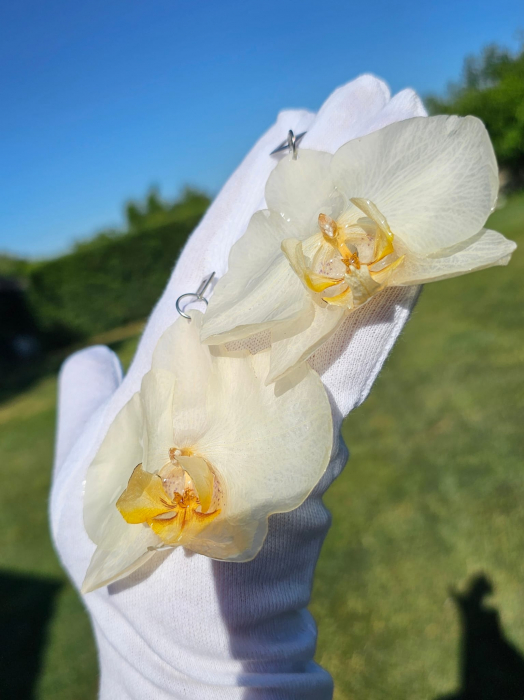 Cercei din orhidee naturala [3]