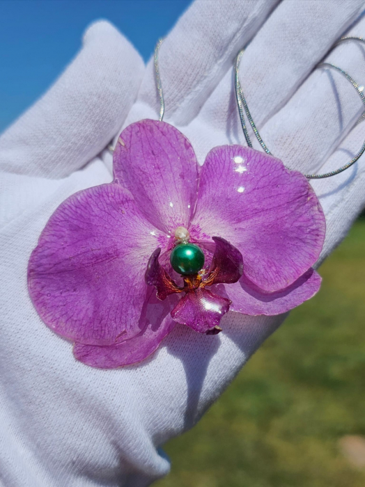 Medalion Din Orhidee Naturala [4]