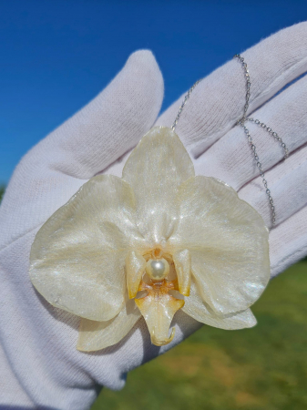 Medalioane - Medalion Din Orhidee Naturala