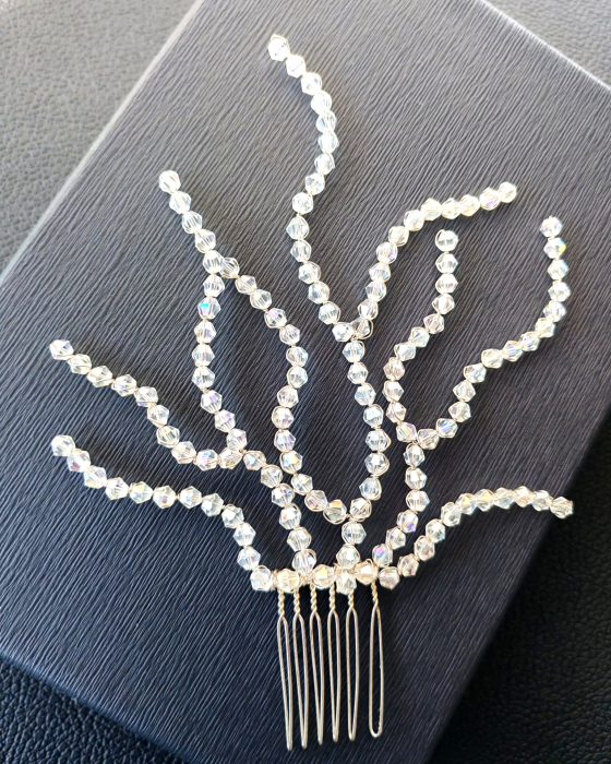 Accesoriu par Evelin [3]