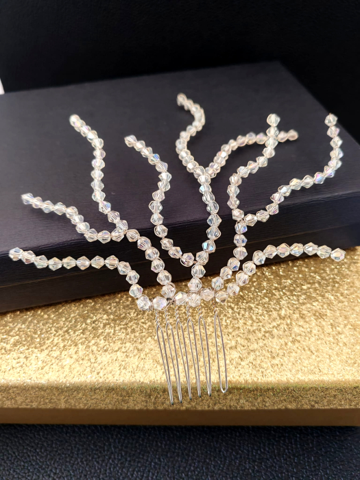 Accesoriu par Evelin [4]