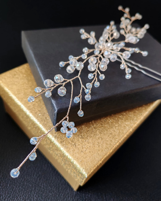 Accesoriu par Lisa [4]