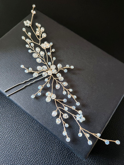 Accesoriu par Lisa [3]