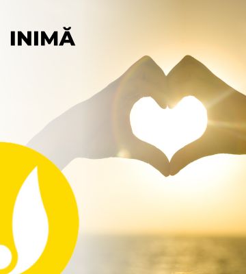 Produse naturiste pentru inima si circulatie sange