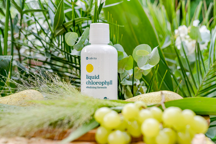 Liquid Chlorophyll, CaliVita, 473 ml, chlorofila lichida [6]