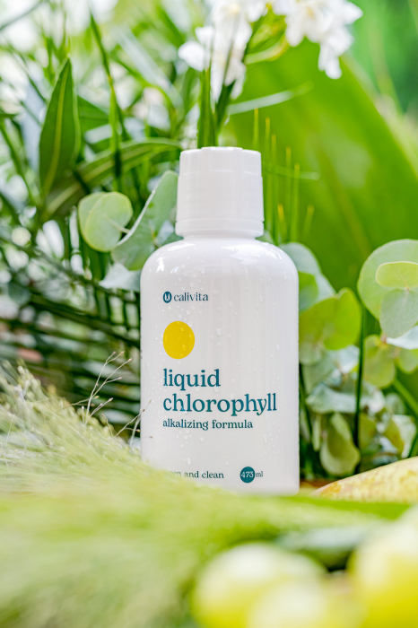 Liquid Chlorophyll, CaliVita, 473 ml, chlorofila lichida [7]
