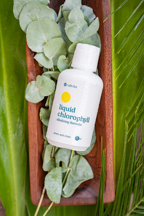 Liquid Chlorophyll, CaliVita, 473 ml, chlorofila lichida [5]