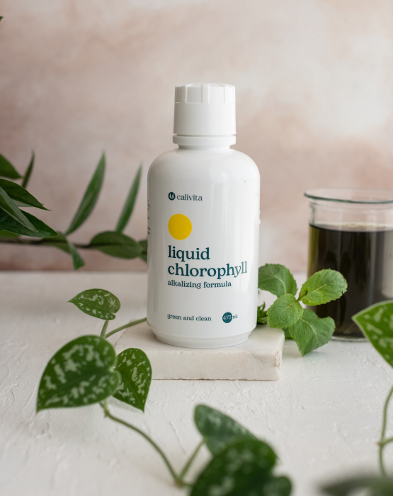Liquid Chlorophyll, CaliVita, 473 ml, chlorofila lichida [4]