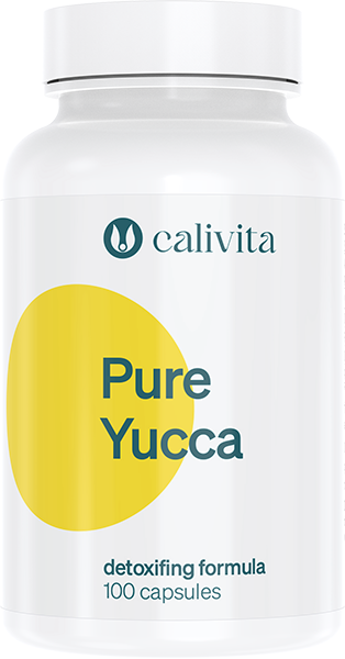 Pure Yucca, CaliVita, 100 capsule, produs naturist cu yucca [1]