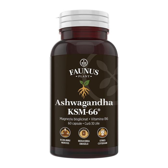 Ashwagandha KSM-66® - 60 capsule [2]