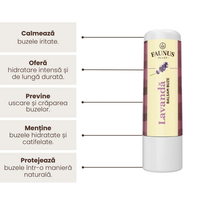 Balsam Buze Lavandă 5ml [5]