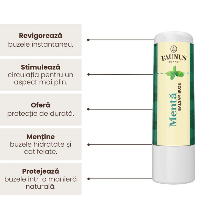 Balsam Buze Mentă 5ml [5]