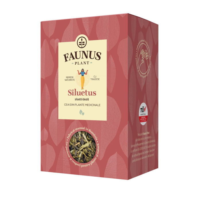 Ceai Siluetus 90g [2]