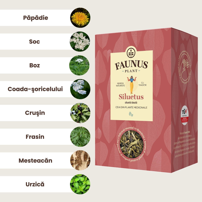 Ceai Siluetus 90g [4]