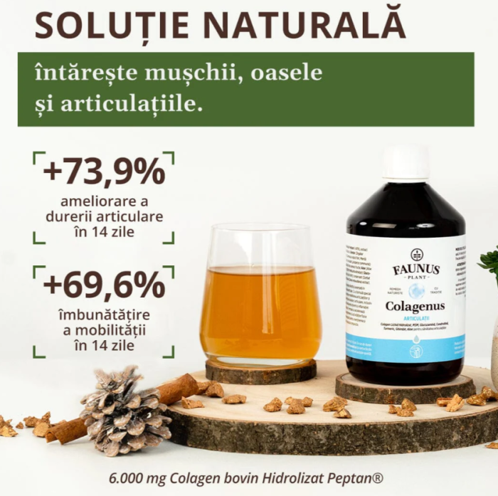 Colagenus Articulații 500ml [10]