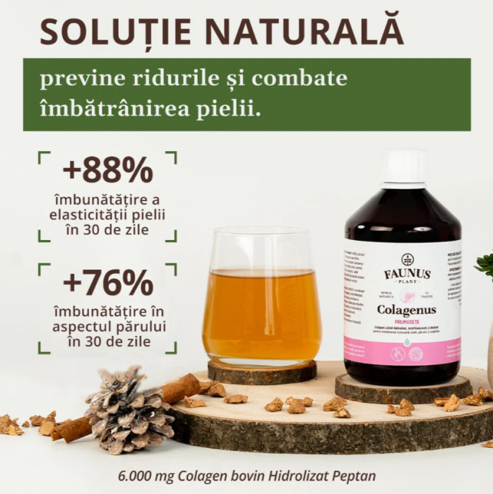 Colagenus Frumusețe 500ml [10]