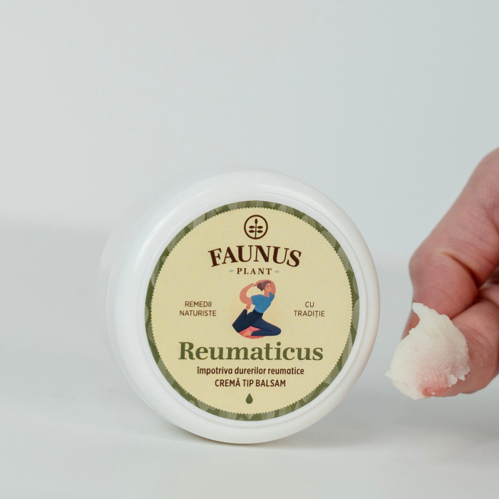 Cremă Tip Balsam Reumaticus 100ml [7]