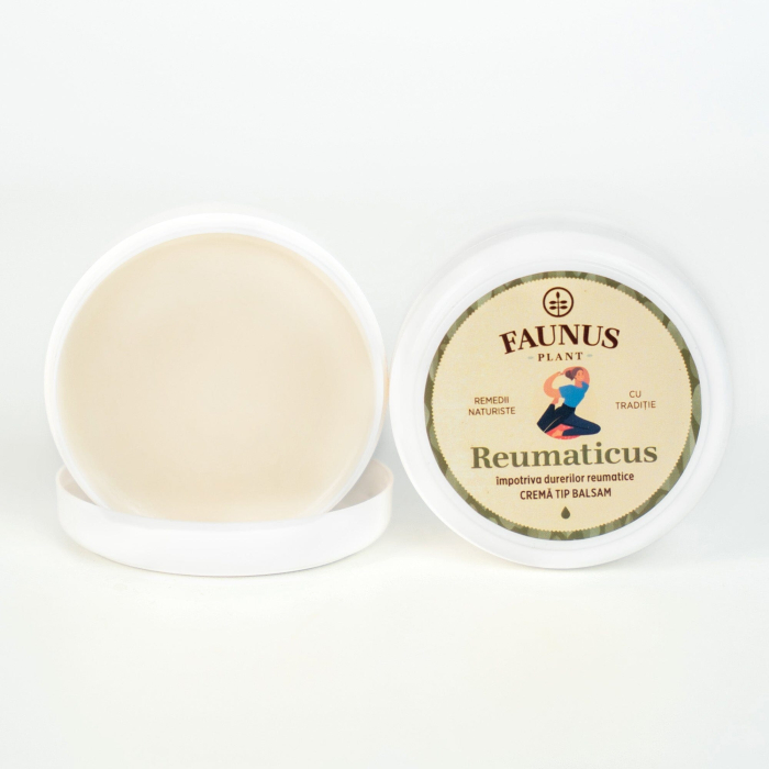 Cremă Tip Balsam Reumaticus 100ml [8]