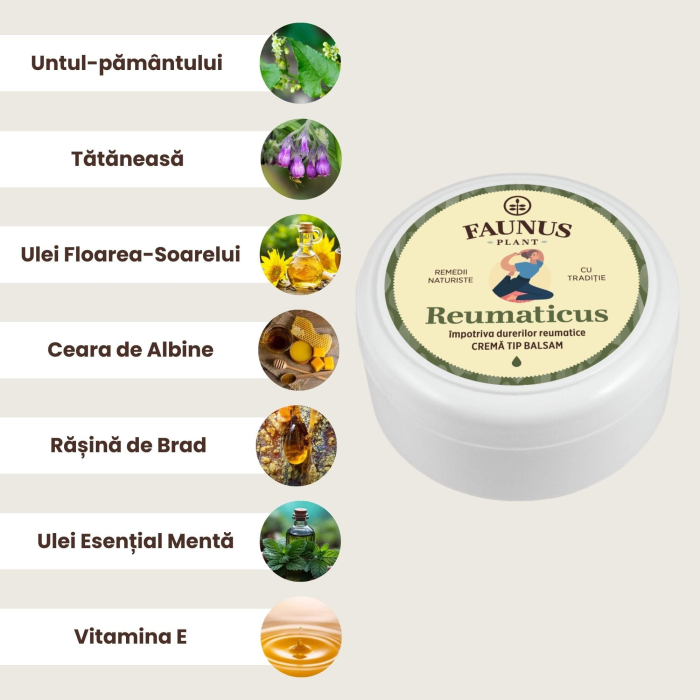 Cremă Tip Balsam Reumaticus 100ml [3]