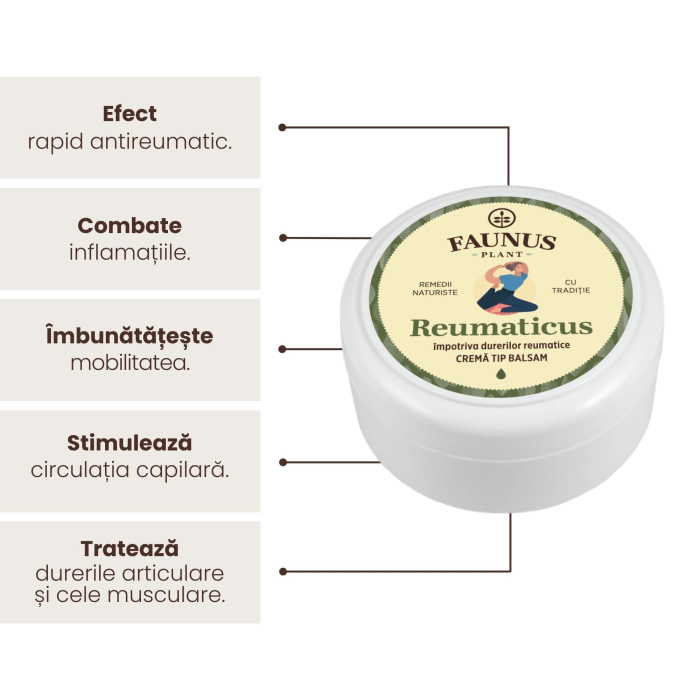 Cremă Tip Balsam Reumaticus 100ml [4]