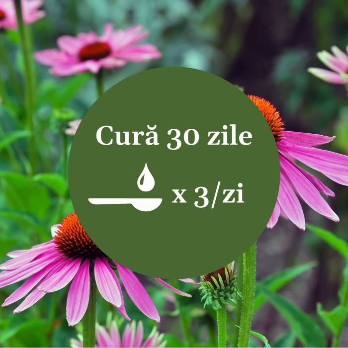 Sirop Echinacea 500ml [9]
