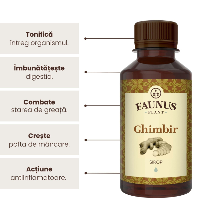 Sirop Ghimbir 200ml [6]