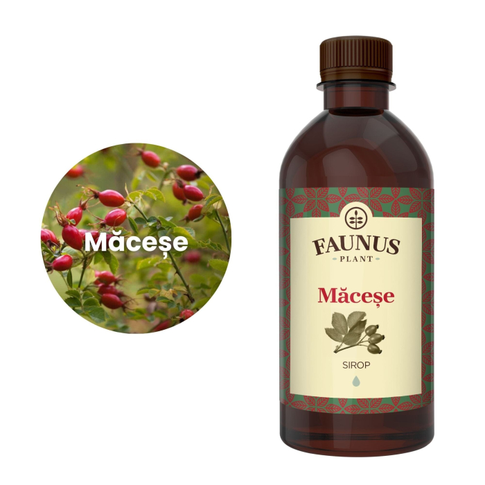 Sirop Măceșe 500ml [5]