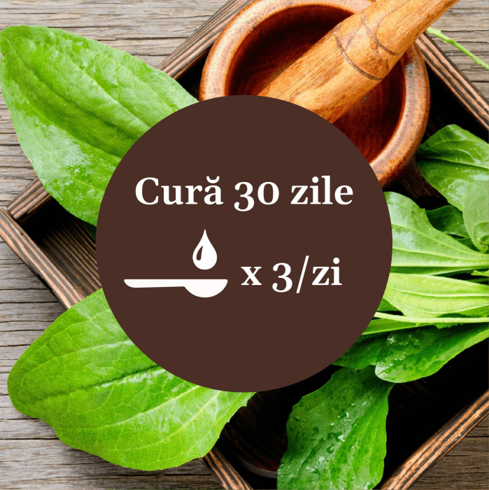 Sirop Pătlagină 200ml [9]