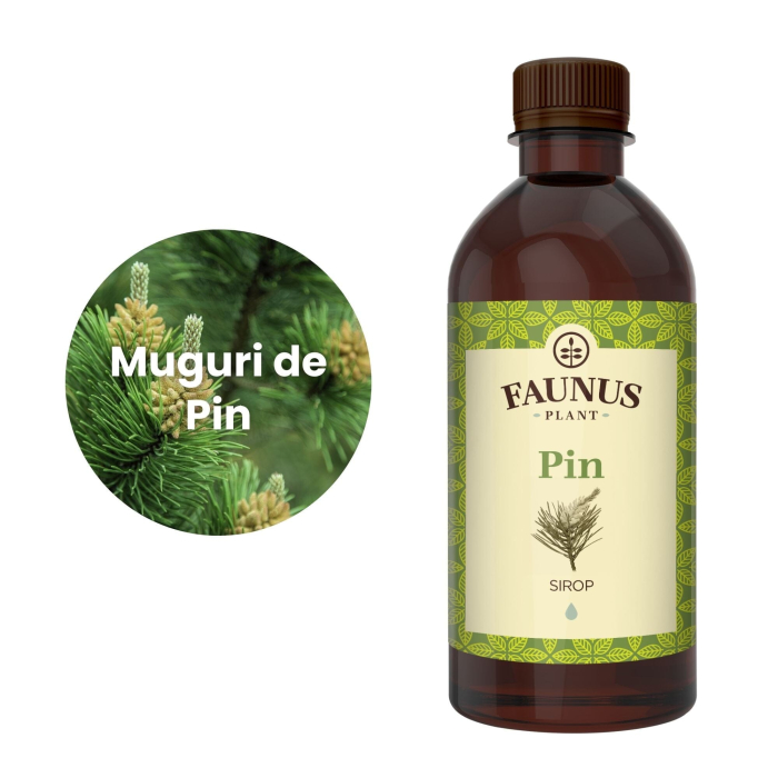 Sirop Pin 500ml [5]