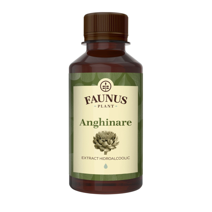 Tinctură Anghinare 200ml [2]