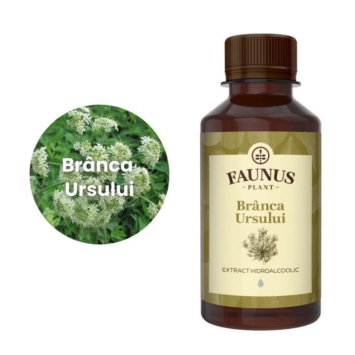 Tinctură Brânca Ursului 200ml [5]