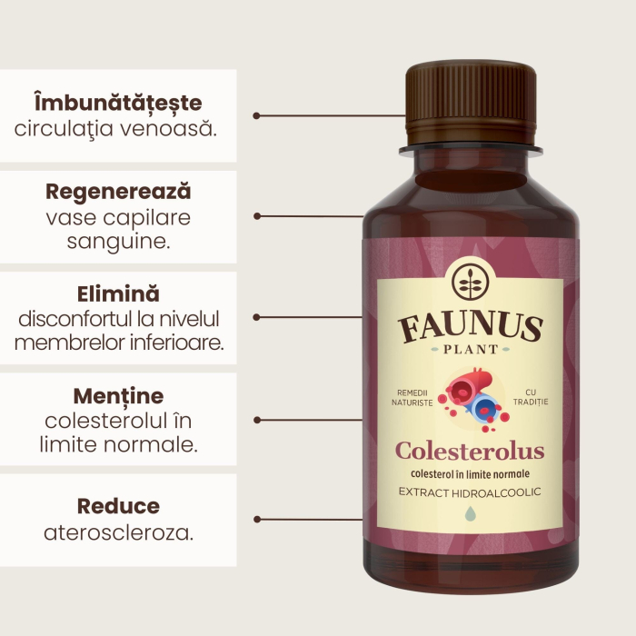 Tinctură Colesterolus 200ml [6]