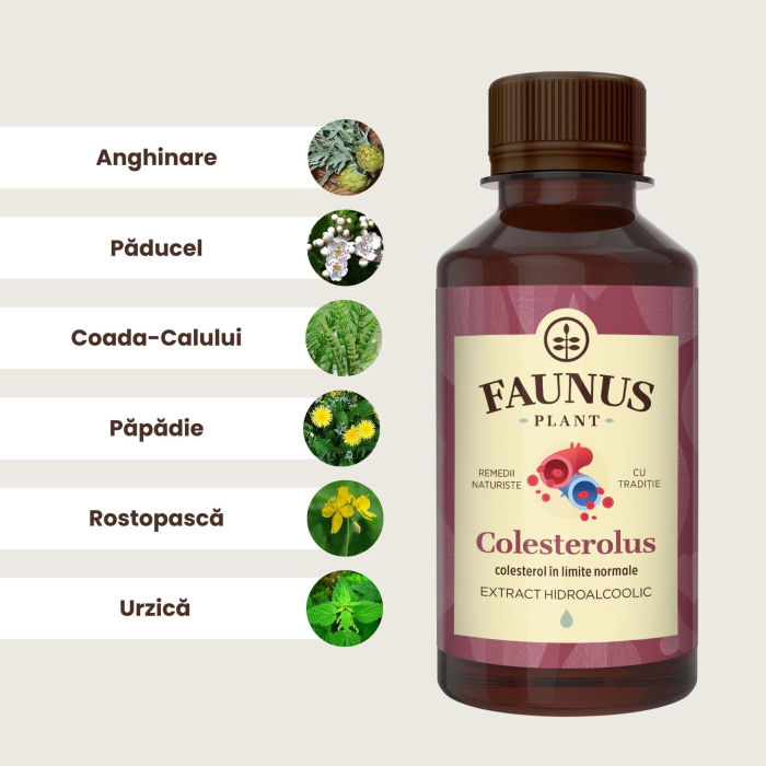 Tinctură Colesterolus 200ml [5]