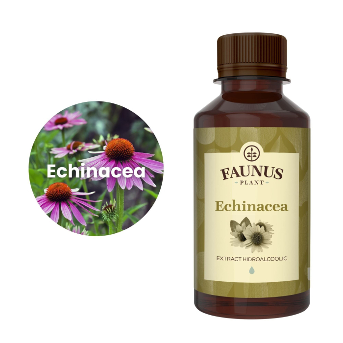 Tinctură Echinacea 200ml [5]