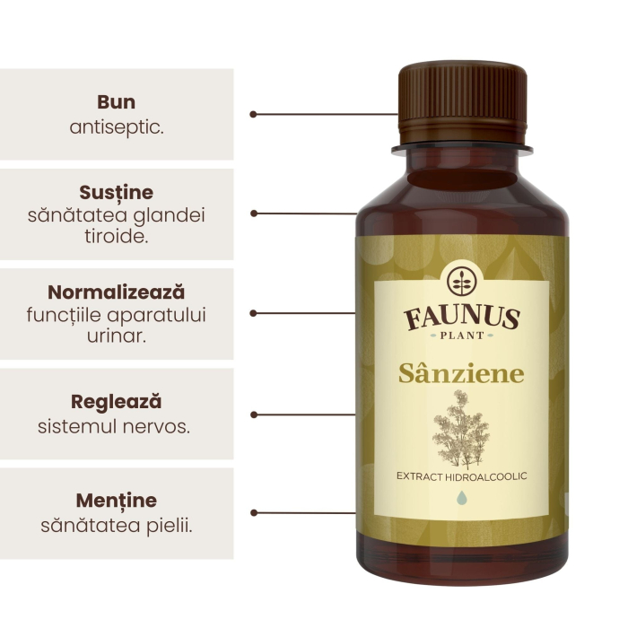 Tinctură Sânziene 200ml [6]