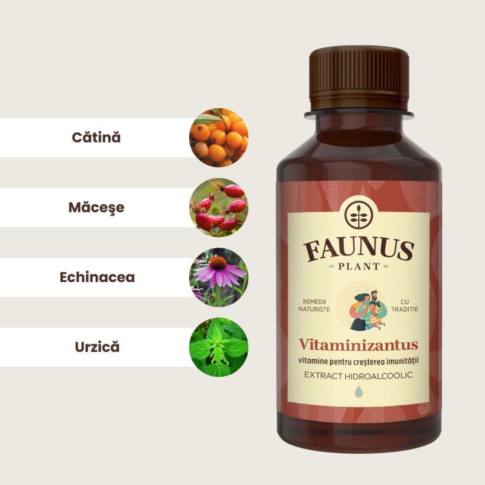 Tinctură Vitaminizantus 200ml [5]