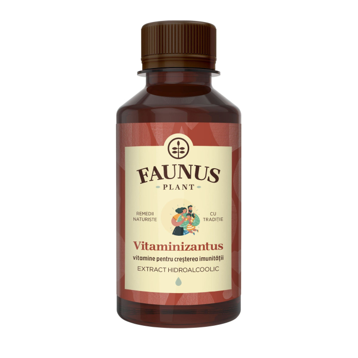 Tinctură Vitaminizantus 200ml [2]