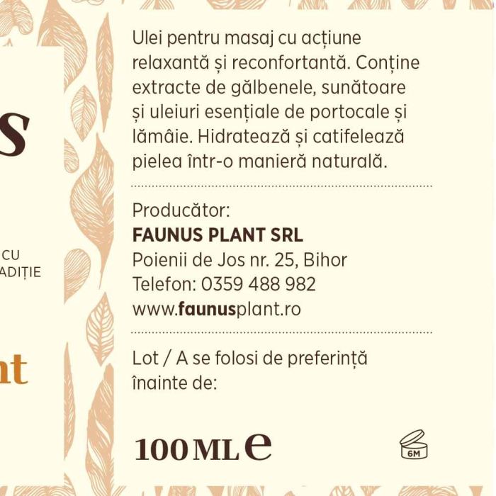 Ulei Masaj Energizant 100ml [7]