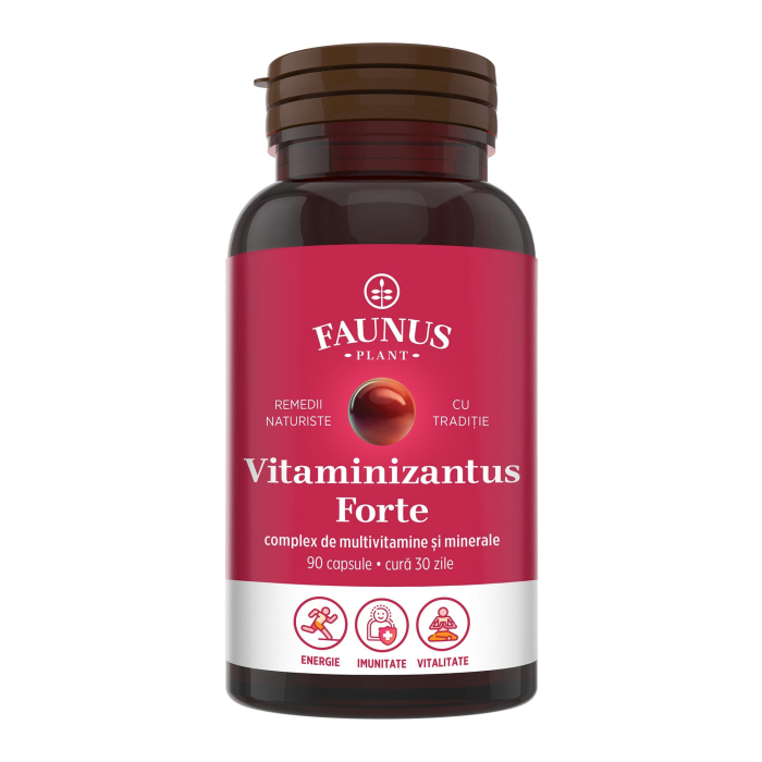 Vitaminizantus Forte - 90 capsule [2]