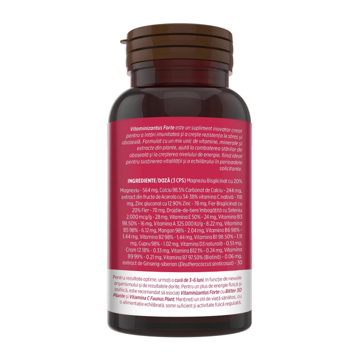 Vitaminizantus Forte - 90 capsule [4]