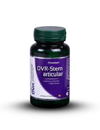 DVR-Stem Articular 60 cps