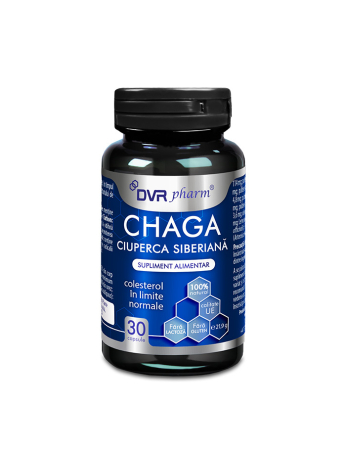 Extracte - Chaga - Ciuperca siberiana - 30 de capsule