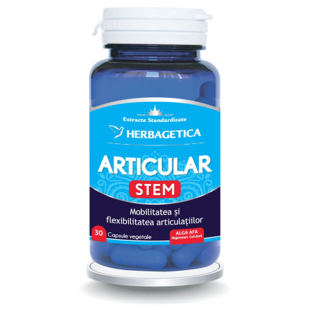 Suplimente - Articular Stem 30 capsule
