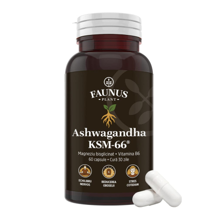 Suplimente alimentare - Ashwagandha KSM-66® - 60 capsule