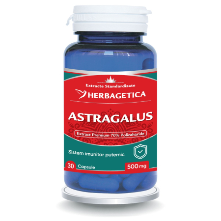 Extracte - Astragalus 30 capsule