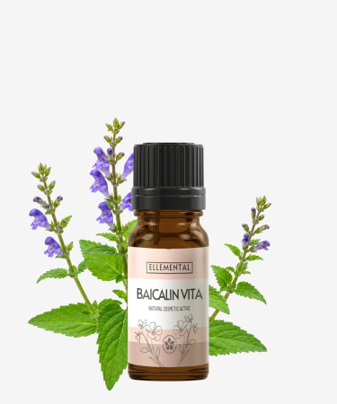 Ingrediente  - Baicalin Vita active (Ambalaj: 10 g)