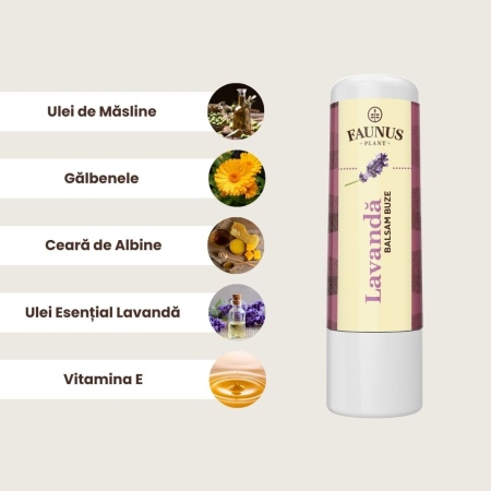 Balsam Buze Lavandă 5ml [3]